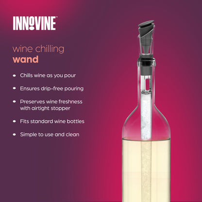 Wine Cooling Wand in Graphite