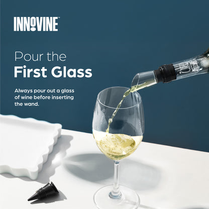 Wine Cooling Wand in Graphite